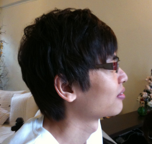 Developer